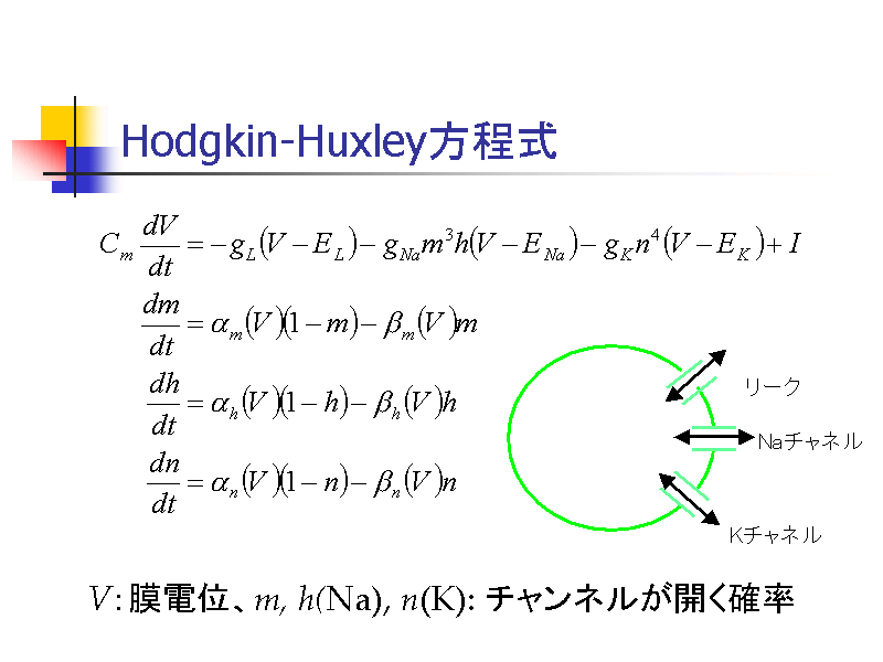 Hodgkin-Huxley